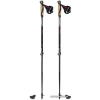 Треккинговые палки Masters Training Speed 01N0519