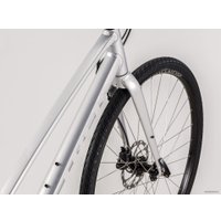 Велосипед Trek FX 2 Disc Women's Stagger L 2020 (серебристый)