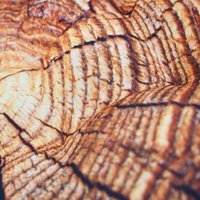 Декоративная подушка Бояртекс Спил дерева 35x40 (с лузгой гречихи)