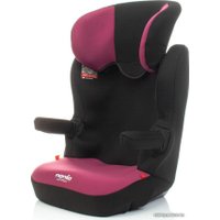 Детское автокресло Nania Rway Access (purple)