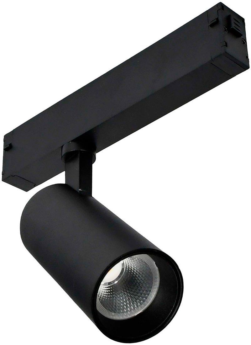 

Трековый светильник ST Luce ST660.436.20