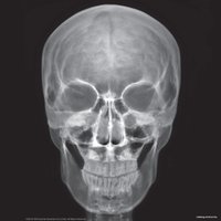 Набор для опытов 4M Юный врач. Скелет человека 00-03375