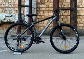 Reborn Ghost 29 р.19 2025 (матовый серый)