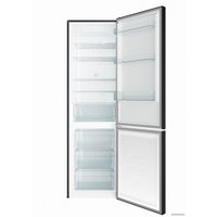 Холодильник Candy CCRN 6200B
