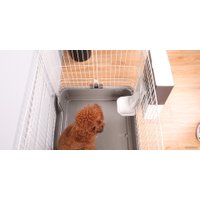 Кормушка электронная Petwant F4