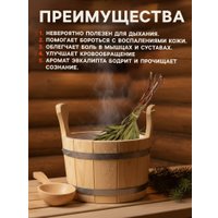 Банный веник Добропаровъ Эвкалиптовый 683771