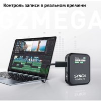 Радиосистема Synco G2(A2) Mega в Бобруйске