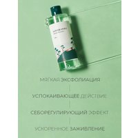  Round Lab Pine Calming Cica Toner (250мл) в Орше