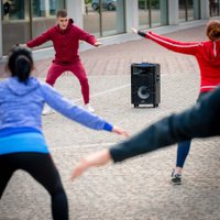 Патибокс Lenco PMX-250