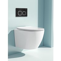 Панель смыва Roxen Santi 410280B