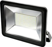 LED 200W IP65 6500K 613100200 (черный)