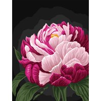 Картина по номерам Три совы Цвет пиона КК_53817