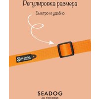 Ошейник Seadog Fresh Orange XS