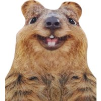 Декоративная подушка Мальвина Квокка 19.25.1