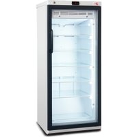 Однокамерный торговый холодильник Бирюса B235DNZ