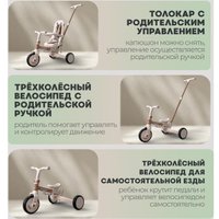 Детский велосипед Bubago Malanka BG 211-2 (коричневый)