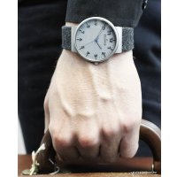 Наручные часы Skagen SKW6097
