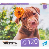 Пазл Dream Makers Зверята RI1203C