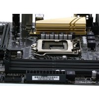 Материнская плата ASUS Z170M-PLUS