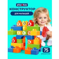 Конструктор PlayOkay 3006