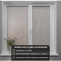 Рулонные шторы Sundays Home Санскрин SS 1300-03 61х215 (серый)