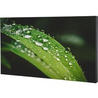 Дисплей для видеостен Dahua LS550UEH-UG в Орше