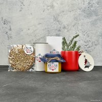 Подарочный набор Padarunki Таежное Рождество 111