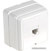 Розетка компьютерная Mutlusan Bron 2160 136 0201