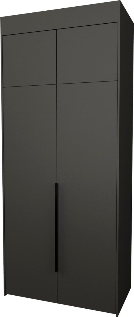 

Шкаф распашной Рэйгрупп Рэй S245-B3-2-WK В3-2 (дуб веллингтон/кобальт)