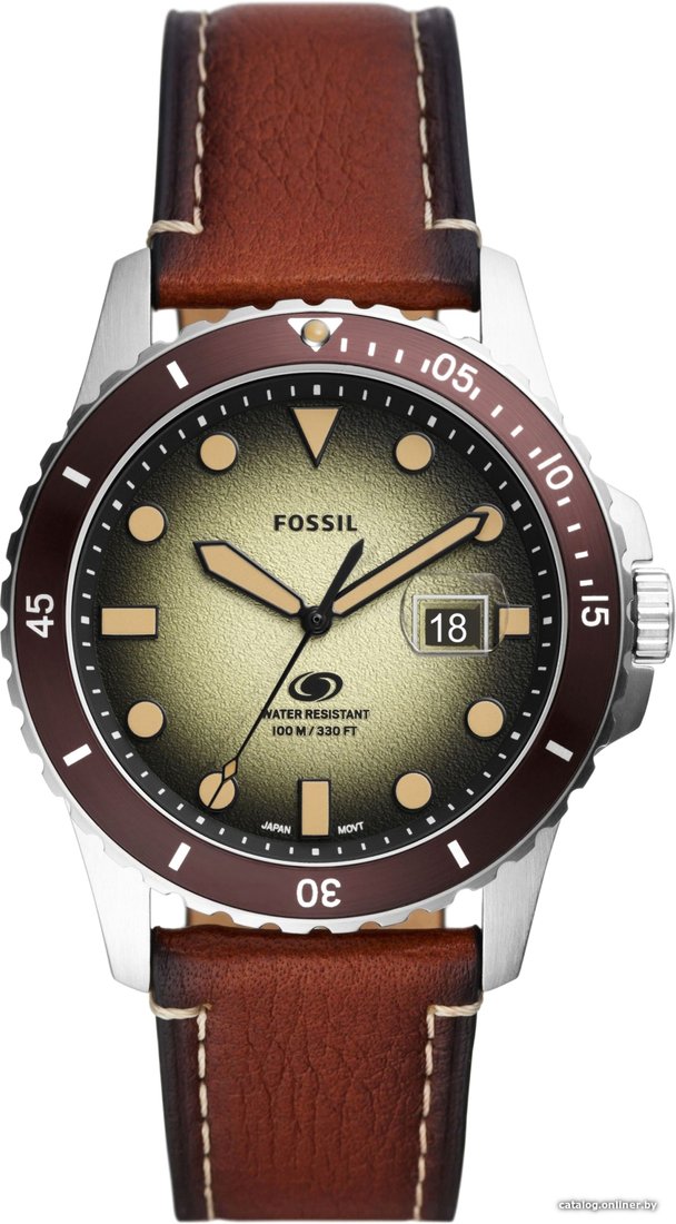 Наручные часы Fossil Blue FS5961
