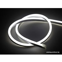 Гибкий неон ЭРА N2835-120-IP67-220V-20m-6500