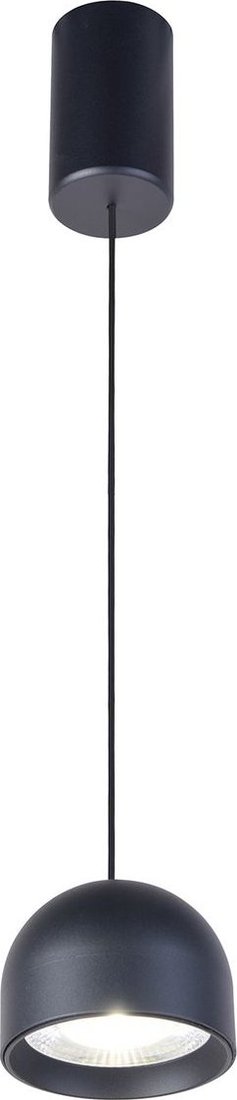 

Подвесная люстра Favourite Astern 4510-1P