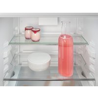 Холодильник Liebherr ICNe 5103 Pure NoFrost