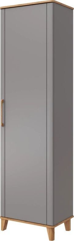 

Шкаф распашной Modula Карпин INV01HP-1D-618/425/2205(05) (дуб натюрель/серый)