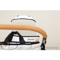 Универсальная коляска Dada Paradiso Group Carino (2 в 1)