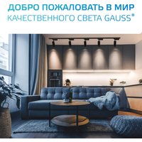 Трековый светильник Gauss TR071