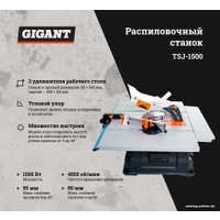 Распиловочный (циркулярный) станок Gigant TSJ-1500