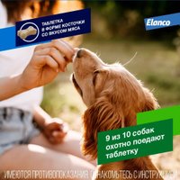 Таблетки от блох и клещей Elanco Дронтал плюс антигельминтик для собак со вкусом мяса (6 таблеток)