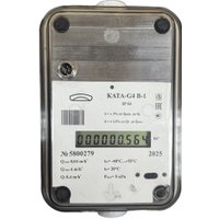 Счетчик газа БелОМО КАТА-G4 В-1