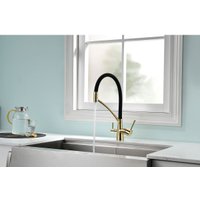 Смеситель Paulmark Siegen Si213111-G