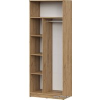 Шкаф распашной NN мебель ШК 2 (дуб золотой)