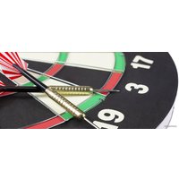 Дартс Harrows Champion Family Dart Game