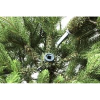 Ель National Tree Company Графская премиум ГРАФ/ПР-210 2.1 м в Солигорске