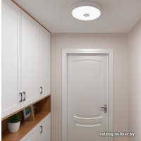 Светильник-тарелка Yeelight Ceiling Light YLXD09YL