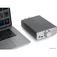 Настольный усилитель Burson Audio Funk Basic