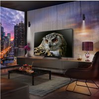 OLED телевизор LG OLED C4 OLED55C44LA