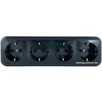 Розетка Bylectrica Пралеска РА16-266 (черный)