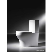 Унитаз напольный Bravat Rael CX01016UW-PA-RUS+CY01016W-PA-RUS