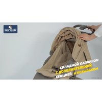 Коляска прогулочная «книга» Lorelli Daisy 2021 (розовый)