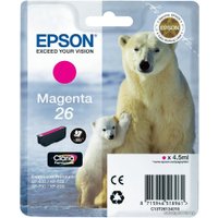 Картридж Epson C13T26134010